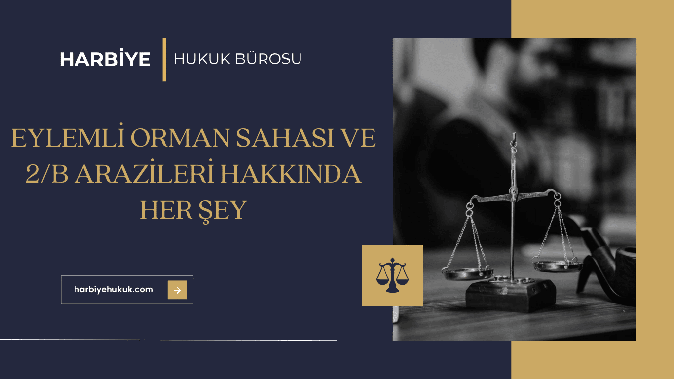 EYLEMLİ ORMAN SAHASI VE 2B ARAZİLERİ HAKKINDA HER ŞEY